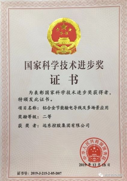 國家科學技術(shù)進步獎二等獎